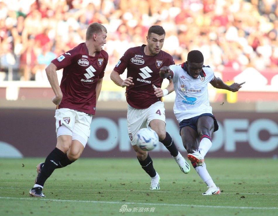 樊振东的例 樊振东的例