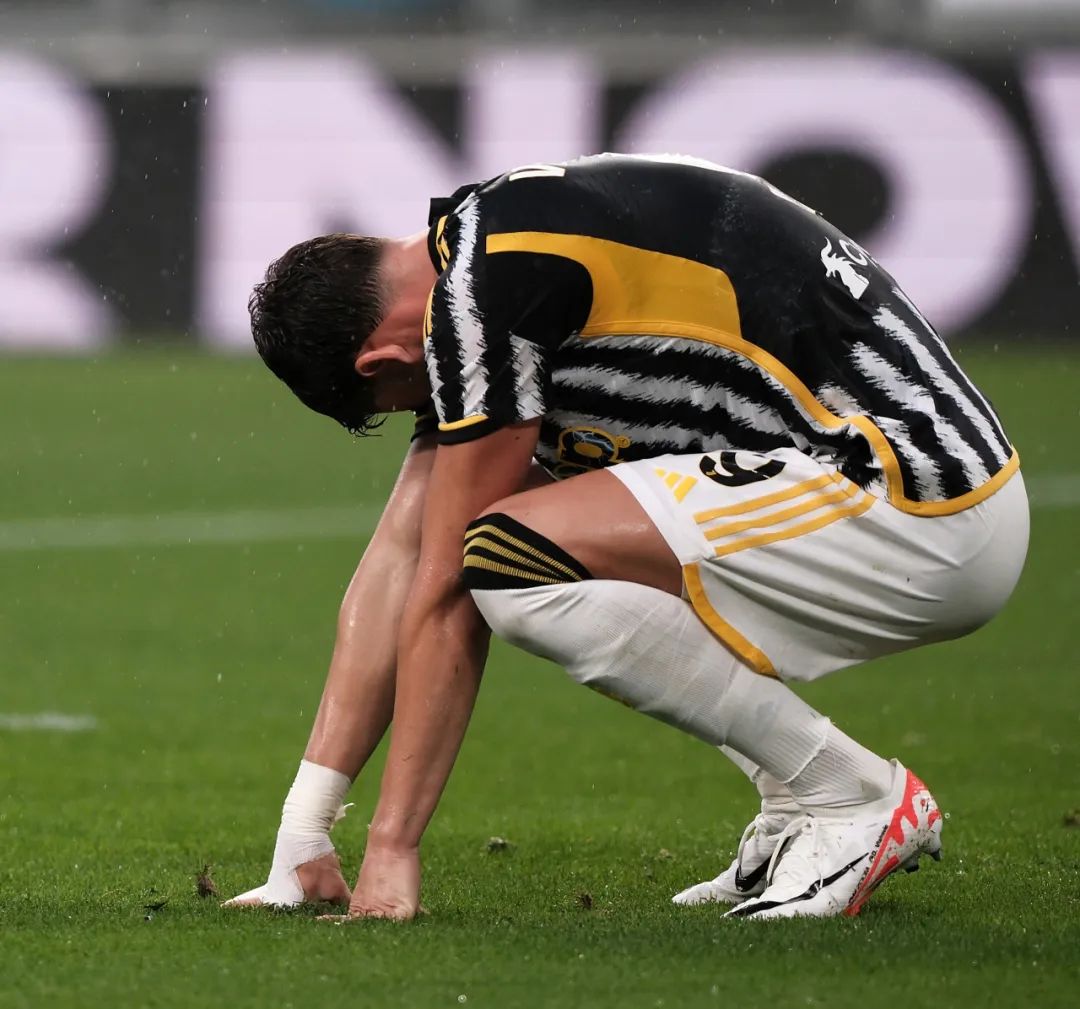 梦想绽放 梦想绽放