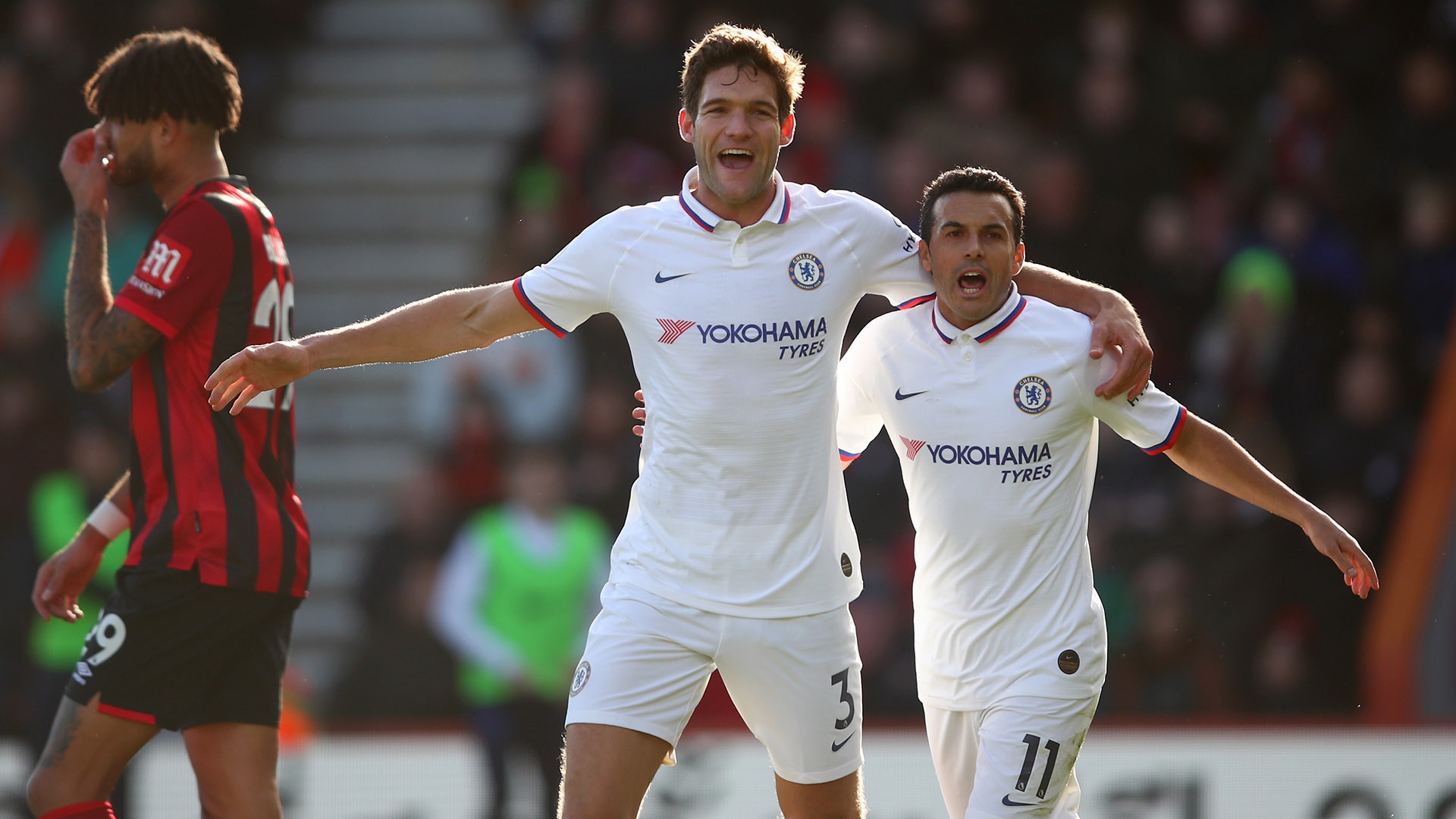 了球队的二 了球队的二